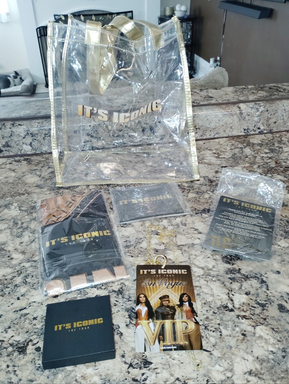 It’s Iconic The Tour VIP Swag Bag Bundle – TLC, En Vogue, Salt-N-PepaCondi - Picture 5 of 10